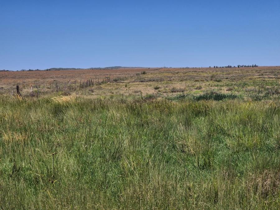 0 Bedroom Property for Sale in Edenburg Rural Free State